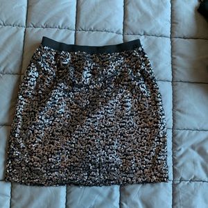 Sequin Skirt